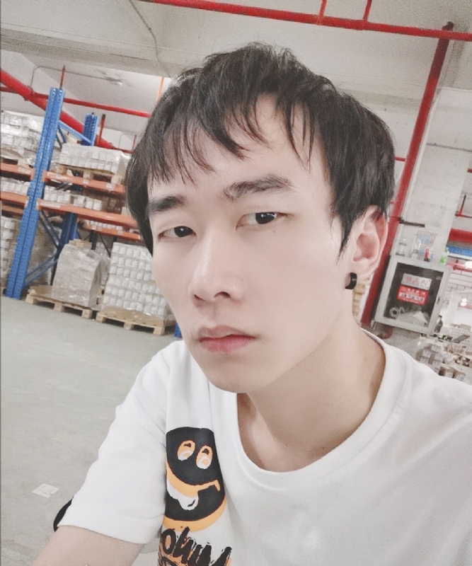 巷子里的猫的第一张照片--南平交友网