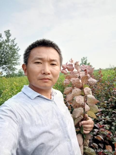 孩子爸的第一张照片--南平交友网