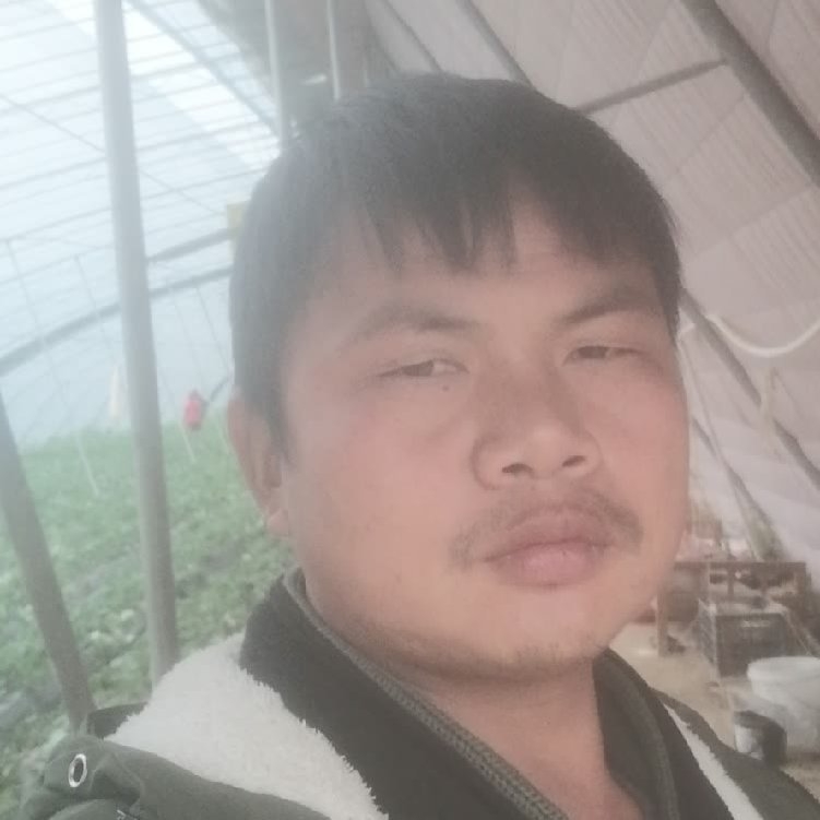 孤狼‘的第一张照片--南平交友网