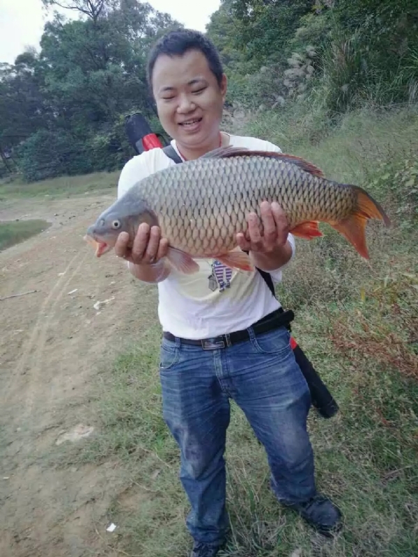 迷路的男人的第一张照片--南平交友网