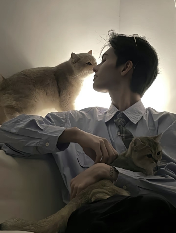 怪猫的第一张照片--南平交友网
