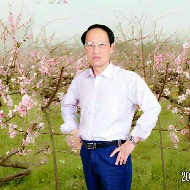 枫叶的第一张照片--南平交友网
